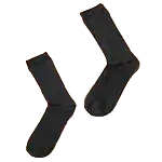 Socks Included