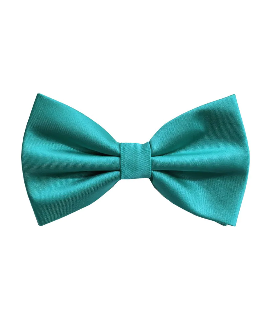 Turqoise Bow Tie Image 1